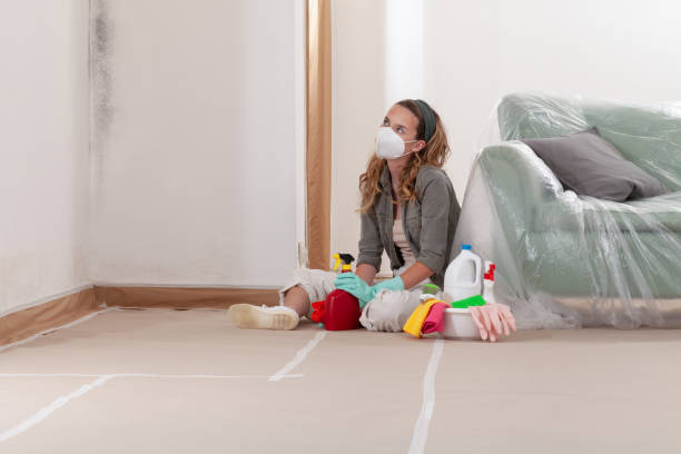 Reliable Mold Cleanup contractor in Callaway, MD by WQB Mold Removal